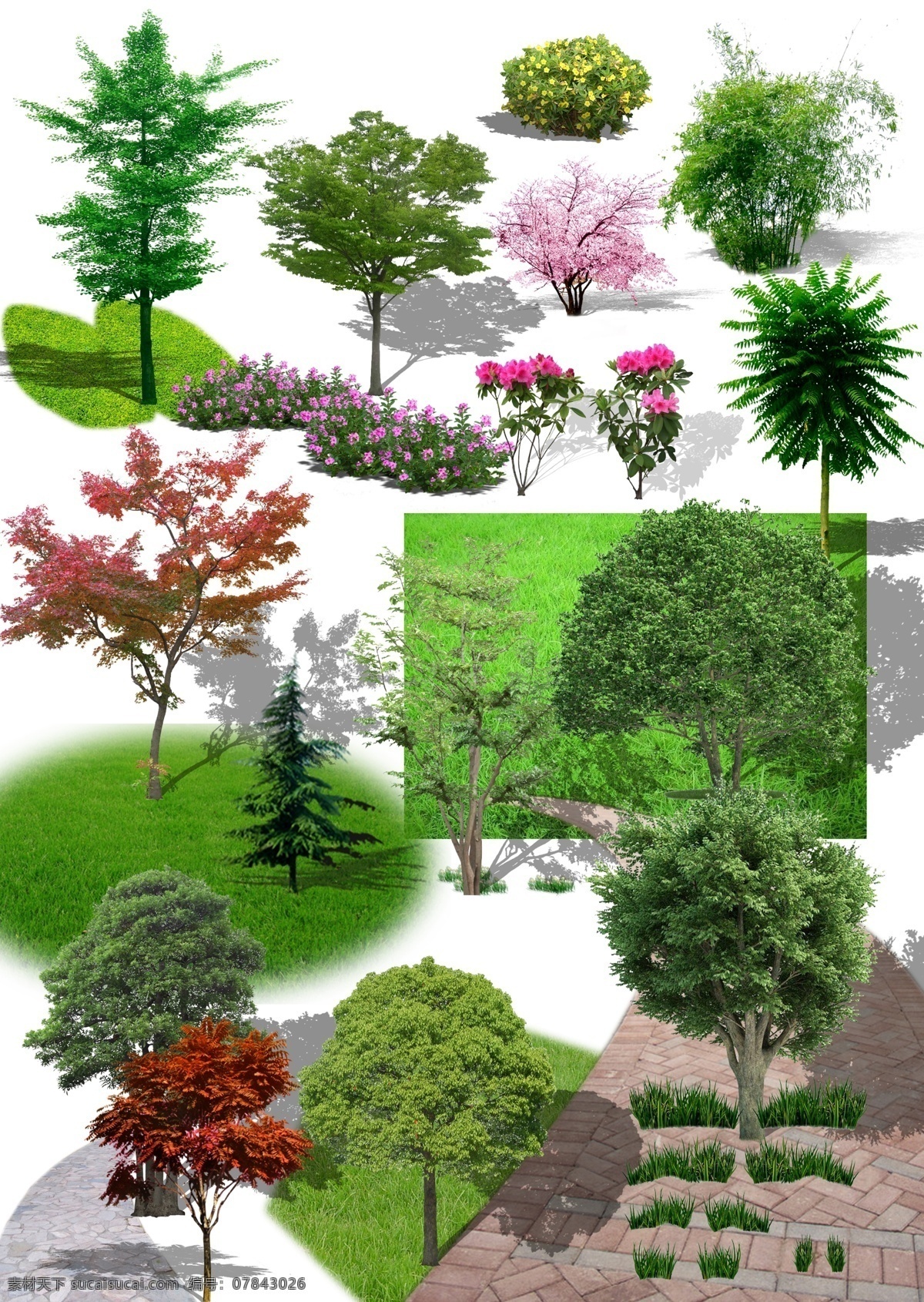 植物 植物素材 树木 乔木 绿色植物 绿叶 开花植物 苗木 自然景观 建筑园林 分层 环境设计 园林设计