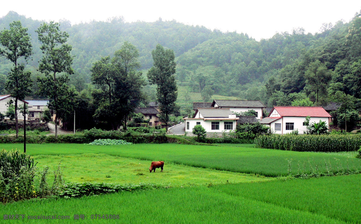 田园风光 山水 美景 田园 山水美景 河流 草原 自然风光 自然风景 自然景观