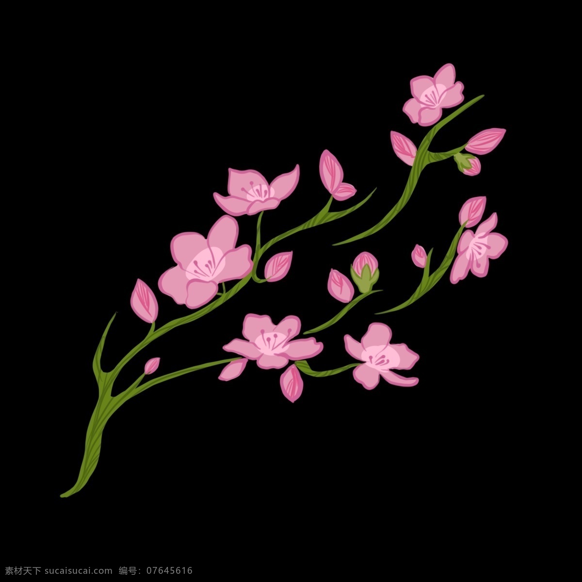 美丽 樱花 卡通 插画 美丽的樱花 卡通插画 植物插画 樱花插画 樱花花朵 装饰樱花 绽放的樱花