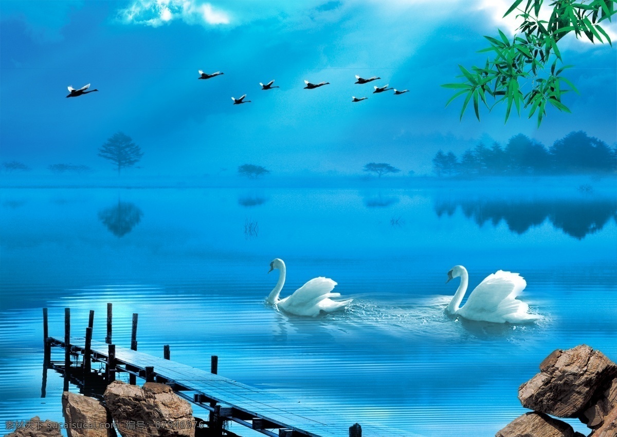天鹅湖 天鹅戏水 蓝湖天鹅 天鹅图片 天鹅意境 意境 蓝色意境 分层