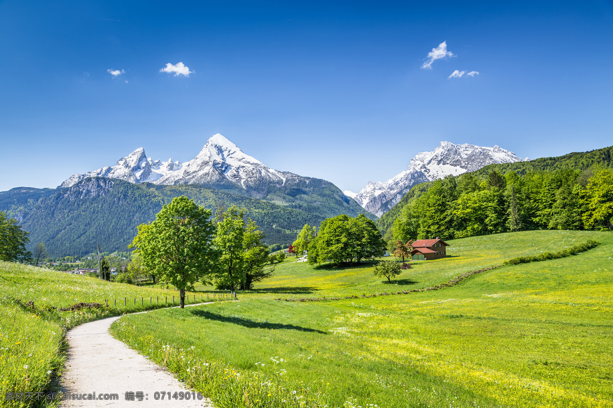 草坪 间 小路 自然 植物 绿化 风景 自然风景 自然景观 草地间的小路 山水风景 风景图片