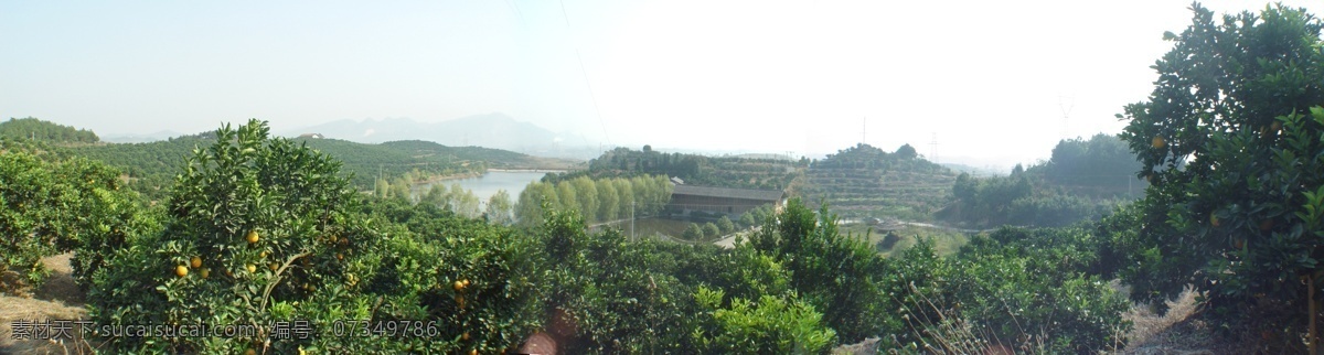 桔子园风景图 桔子园 风景图 桔子 园风景图 自然景观 建筑园林