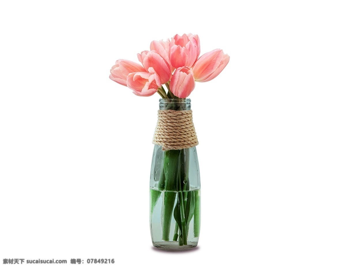 盆景 花朵 瓶子 免 抠 杯子 装饰 盆栽 元素 绿植 陈列 合成