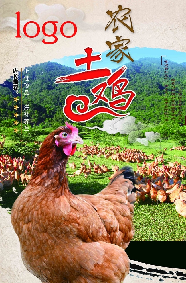 土鸡海报 鸡图片 森林 灰色背景图片 乡村土鸡 农家草鸡蛋 柴鸡蛋 本地鸡蛋 生活百科 餐饮美食