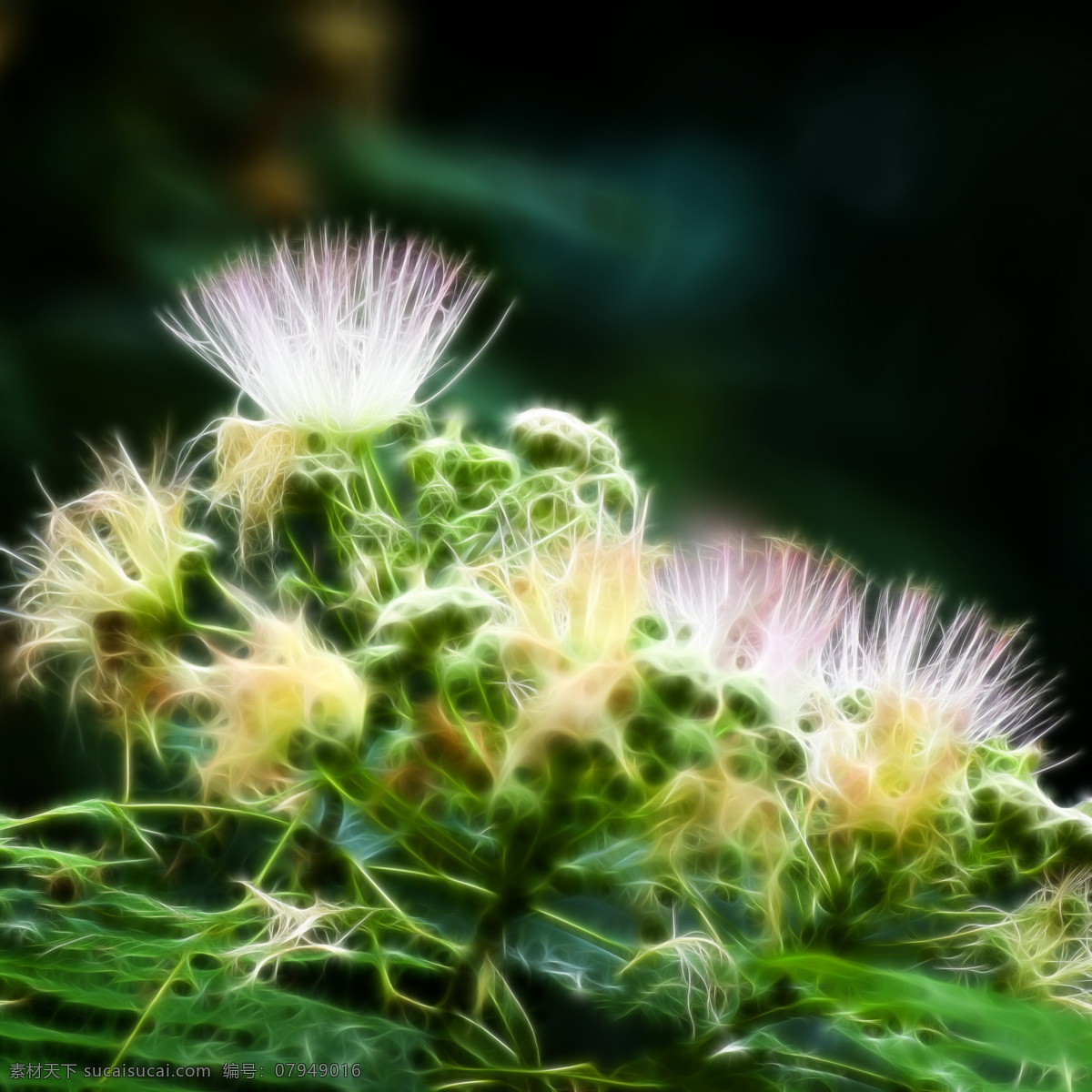 植物 花卉 炫 光光 影 效果 无 框 画 装饰画 光 轮廓 光影 家居装饰素材