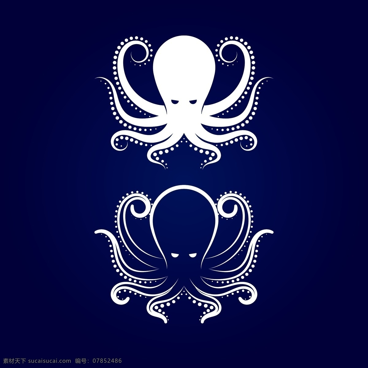 可爱的章鱼 生物 海洋 可爱 章鱼 蓝色