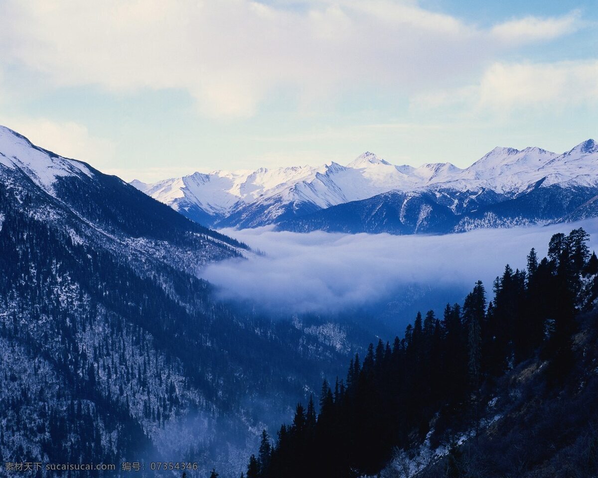 雪景山 雪 森林 森林雪 树 雪树 山水风景 自然景观