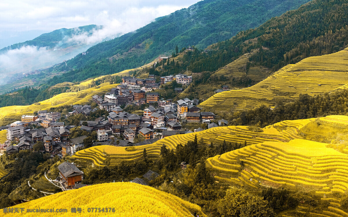 村庄 黄色 大地 梯田 山坡 旅游摄影 自然风景