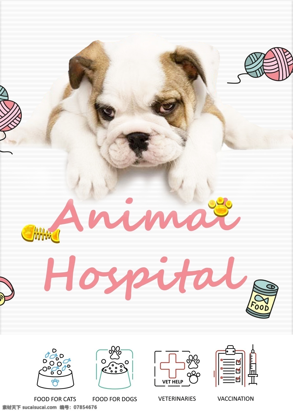 韩国 帽 风格 可爱 小狗 宠物 动物 海报 狗 帽子类型 治愈 宠物医院 宠物保健