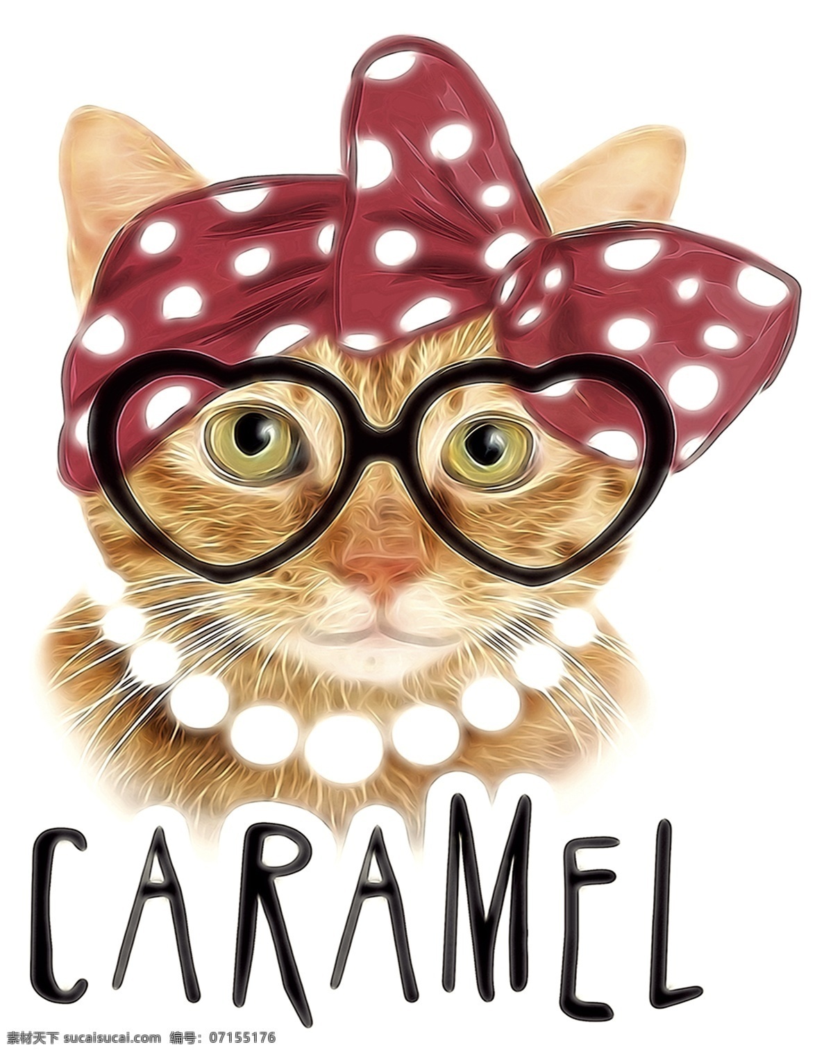 眼镜猫图片 猫 眼镜猫 蝴蝶结猫 caramel 可爱猫 生物世界