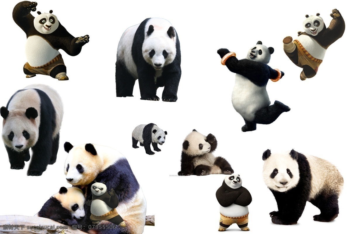 透明素材 png抠图 大熊猫 功夫熊猫 保护动物 国宝 可爱熊猫 非 原创 透明 合 辑 分层