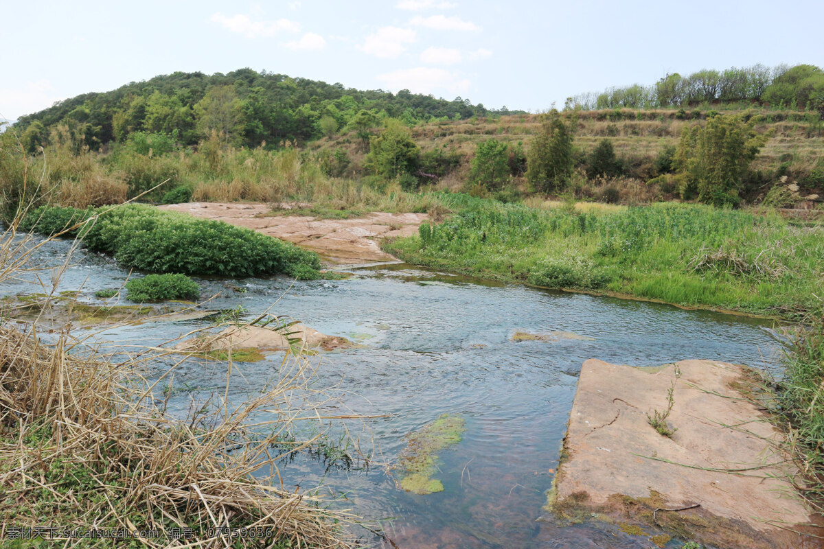 河边 乡村 小河水 草地 田园 庄稼 自然景观 田园风光