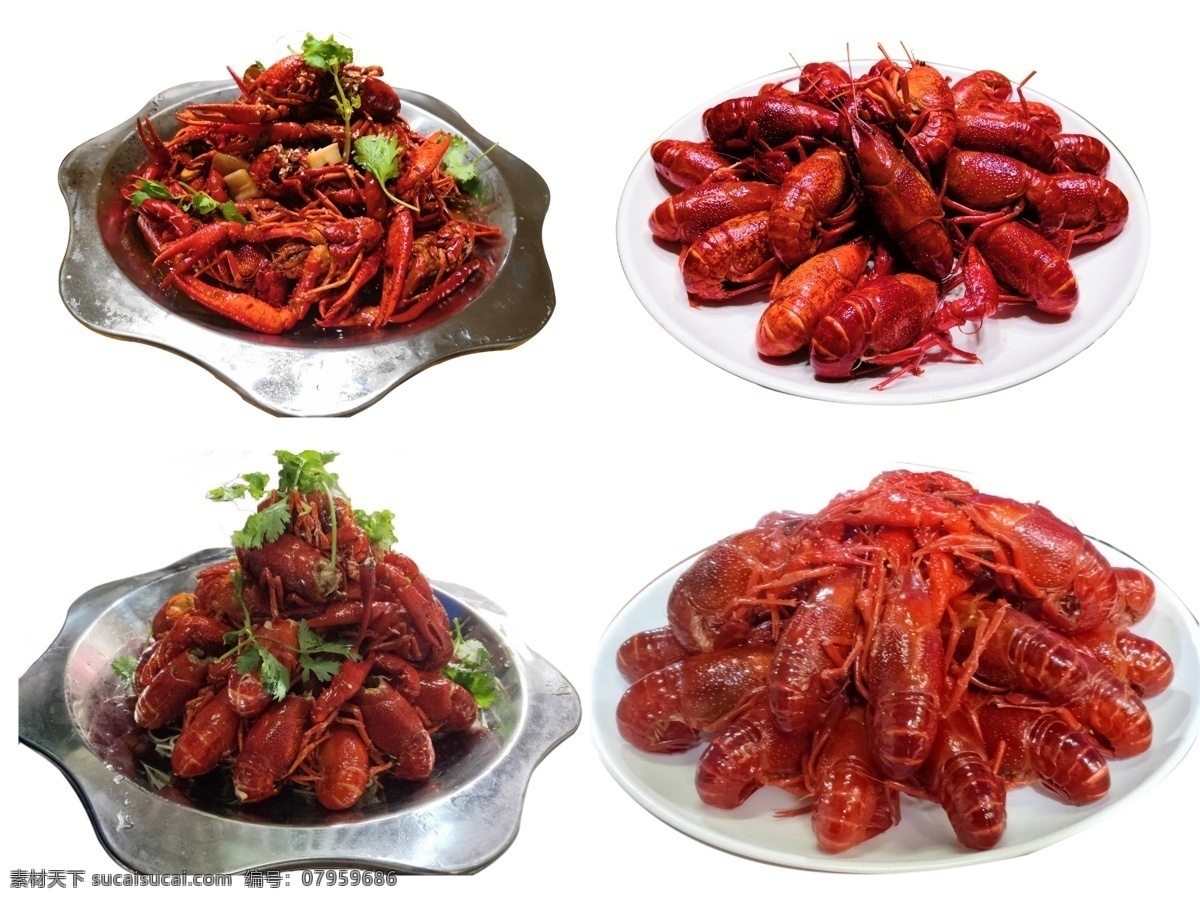 龙虾 美味 蒸虾 油焖大虾 夏天