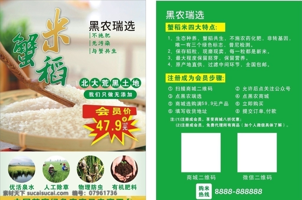 宣传单 蟹稻米海报 蟹稻米宣传单 海报 广告