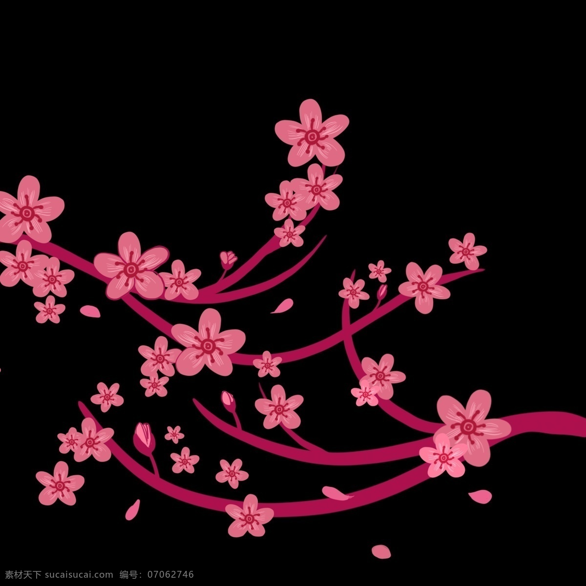 樱花 花朵 卡通 插画 卡通插画 植物插画 樱花插画 樱花花朵 装饰樱花 漂亮的樱花 粉色的樱花