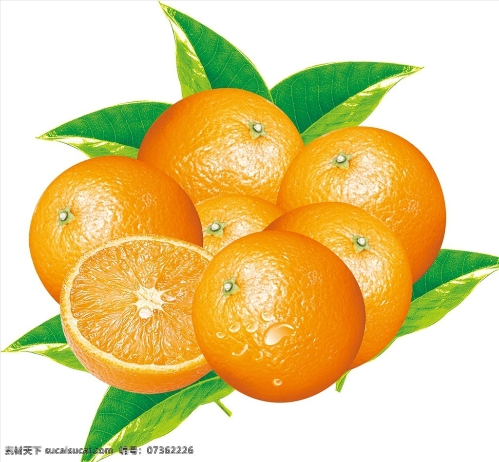 橙子图片 元素 食物 水果 橘桔橙 分层