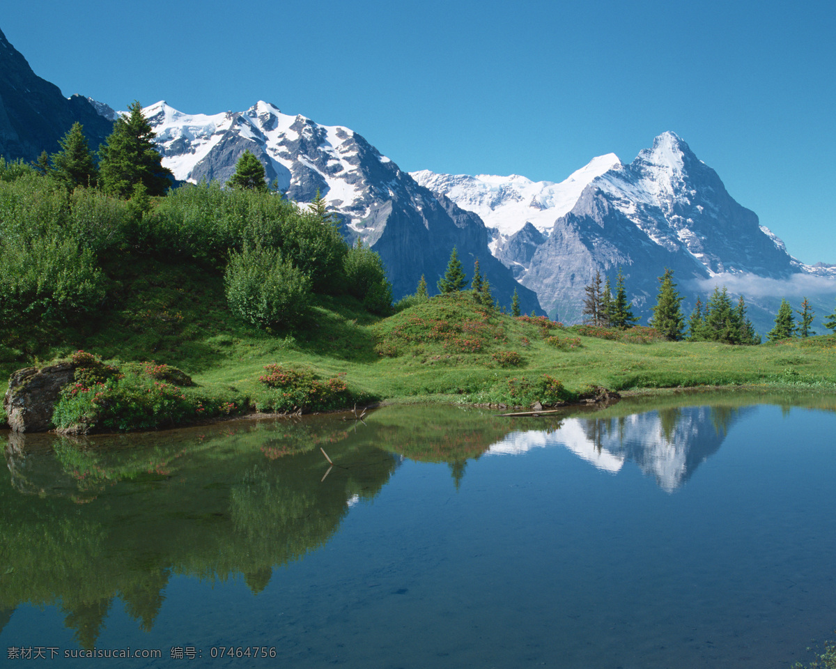 树免费下载 风景 山 山水风景 摄影图 树 植物 自然景观 水 家居装饰素材 山水风景画