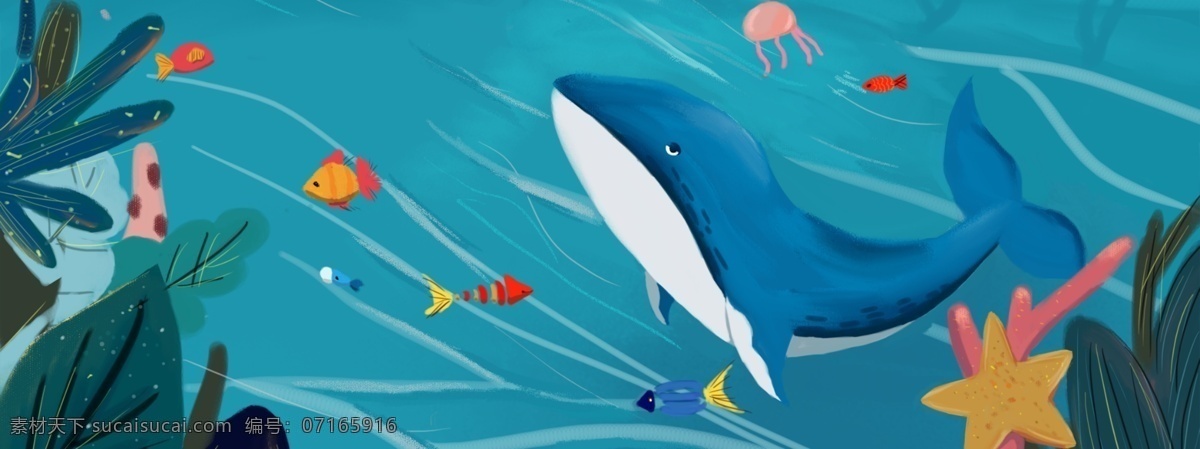 海洋背景 插画 海底世界 鲸 海 植物 共享分