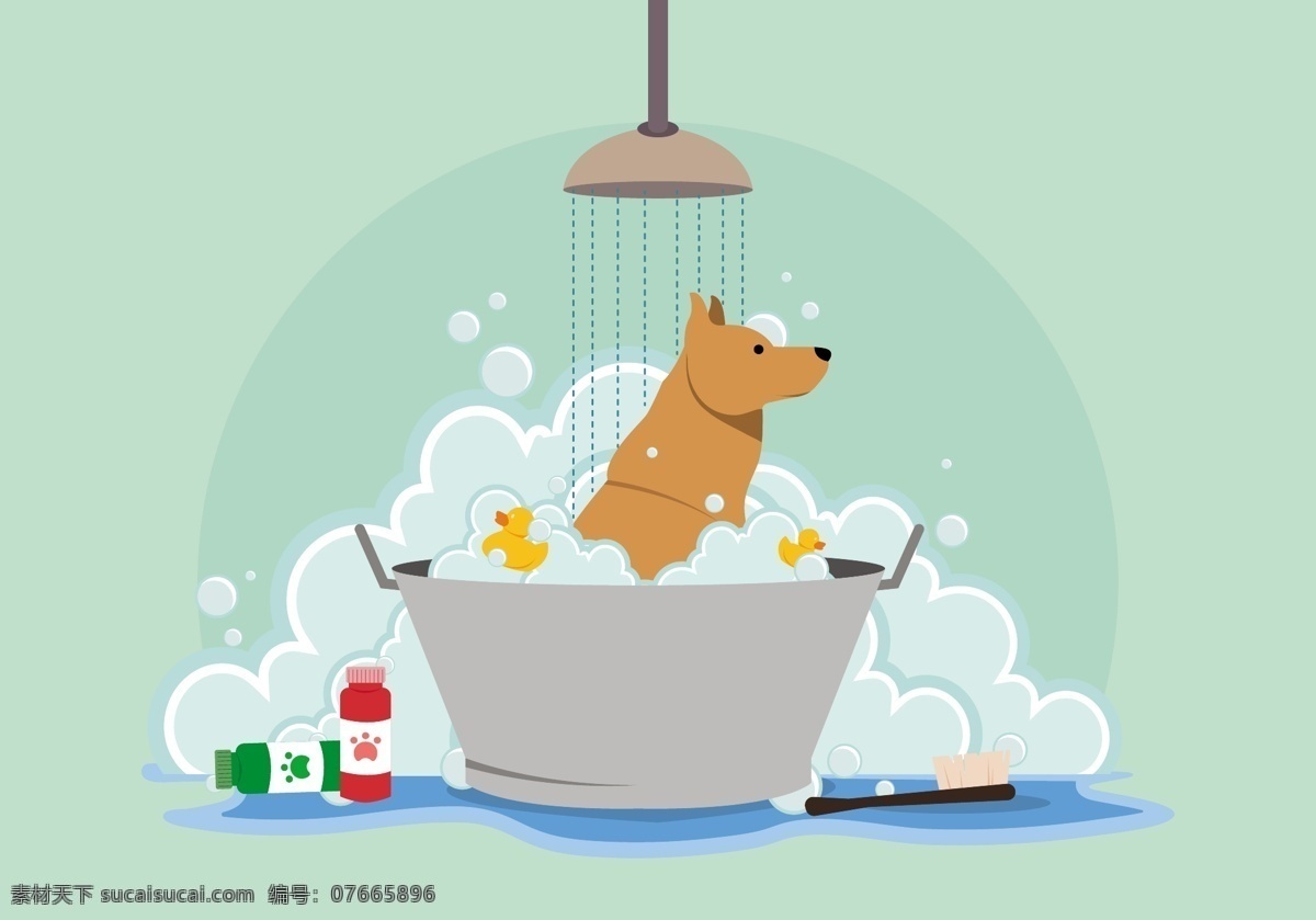 宠物狗 洗浴 插画 卡通动物 动物素材 动物 手绘动物 矢量素材 扁平动物 矢量动物 可爱动物