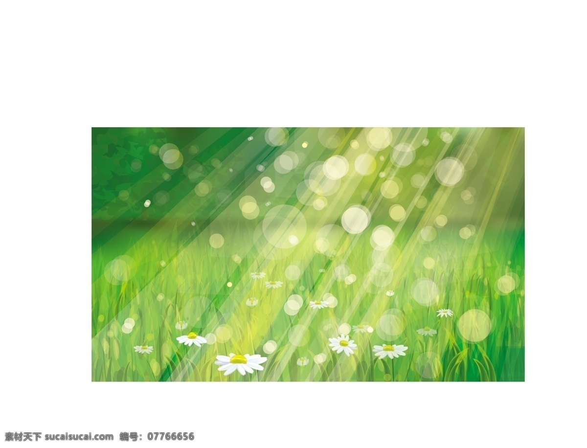 阳光 照射 绿色 草地 背景 夏天 光线 小花 底纹