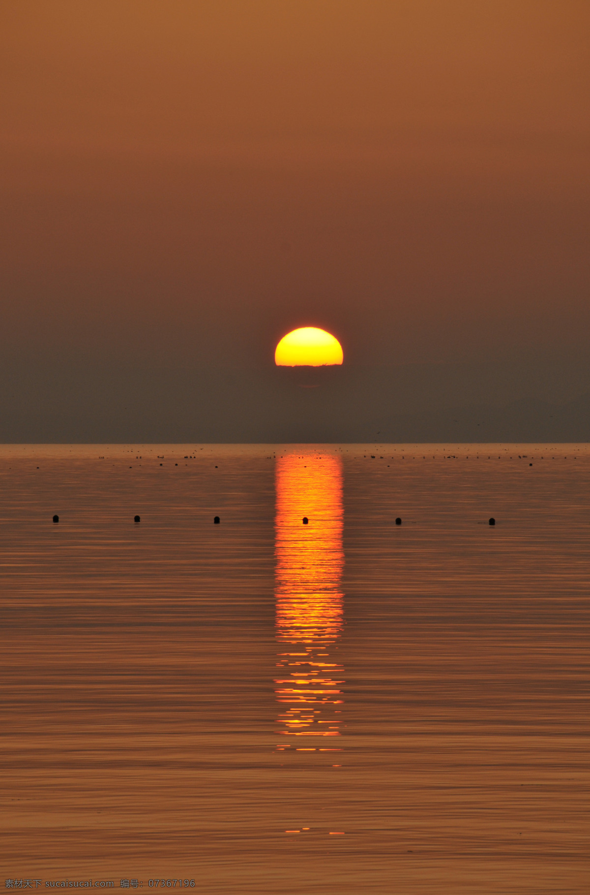 海上 日出 风景 高清 黄色 海面 海边 海水