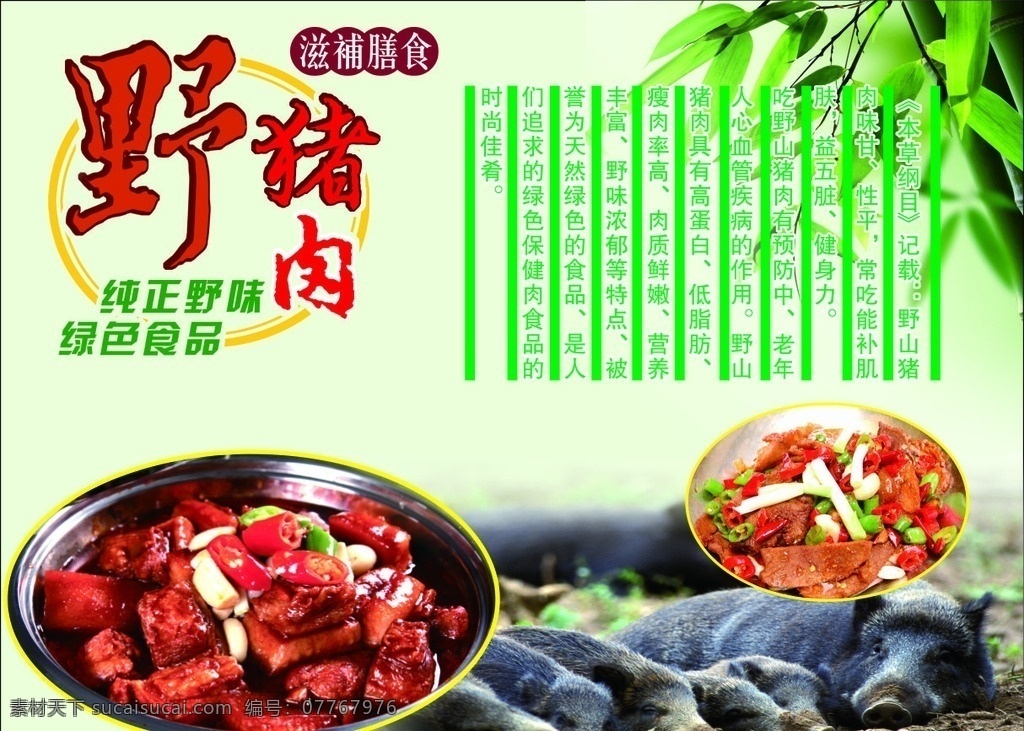 野猪肉海报 猪肉 野猪肉 野猪海报 竹子海报 竹子背景 绿色背景 卡片海报