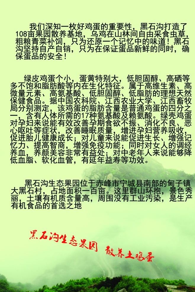 土鸡蛋宣传单 土鸡蛋 公鸡母鸡 鸡蛋鸭蛋鹅蛋 绿色无污染 纯天然 生态散养 回归自然 草原 绿地 简约整洁干净 宣传单 海报 展架 折页 名片 代金券 会员卡 体验券 充值卡 dm宣传单