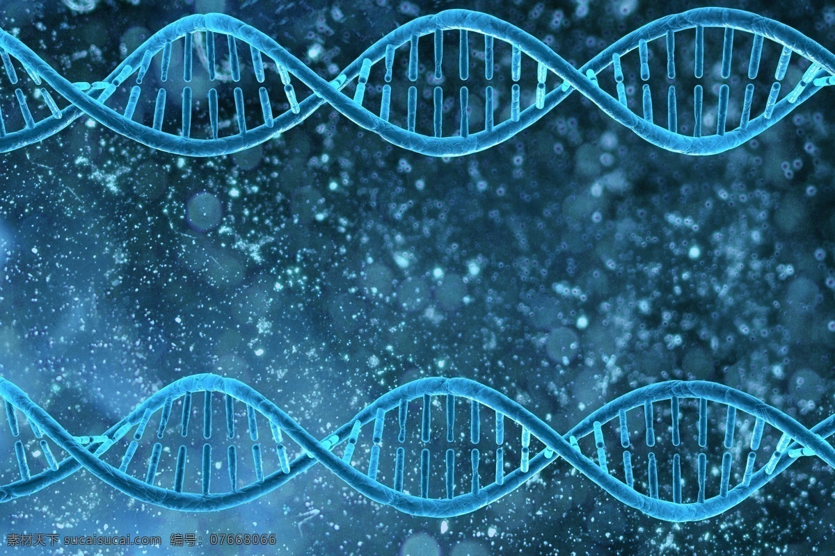 dna 遗传 基因 医疗 医学 科学 遗传学 人类基因 科技 遗传基因 生物学 生物科学 显微世界 基因组合 基因排列 微观 dna基因 科学研究 现代科技