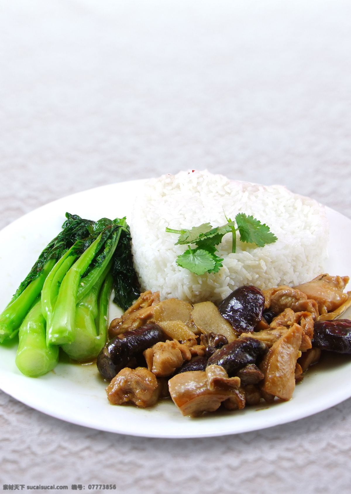 冬菇鸡饭 冬菇滑鸡饭 快餐 冬菇鸡饭快餐 鸡饭 餐饮美食 传统美食