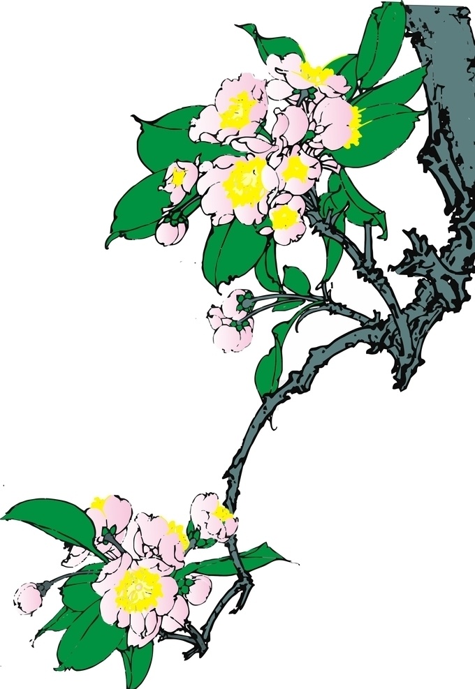 苹果花 矢量图 白色花 花草图 插画