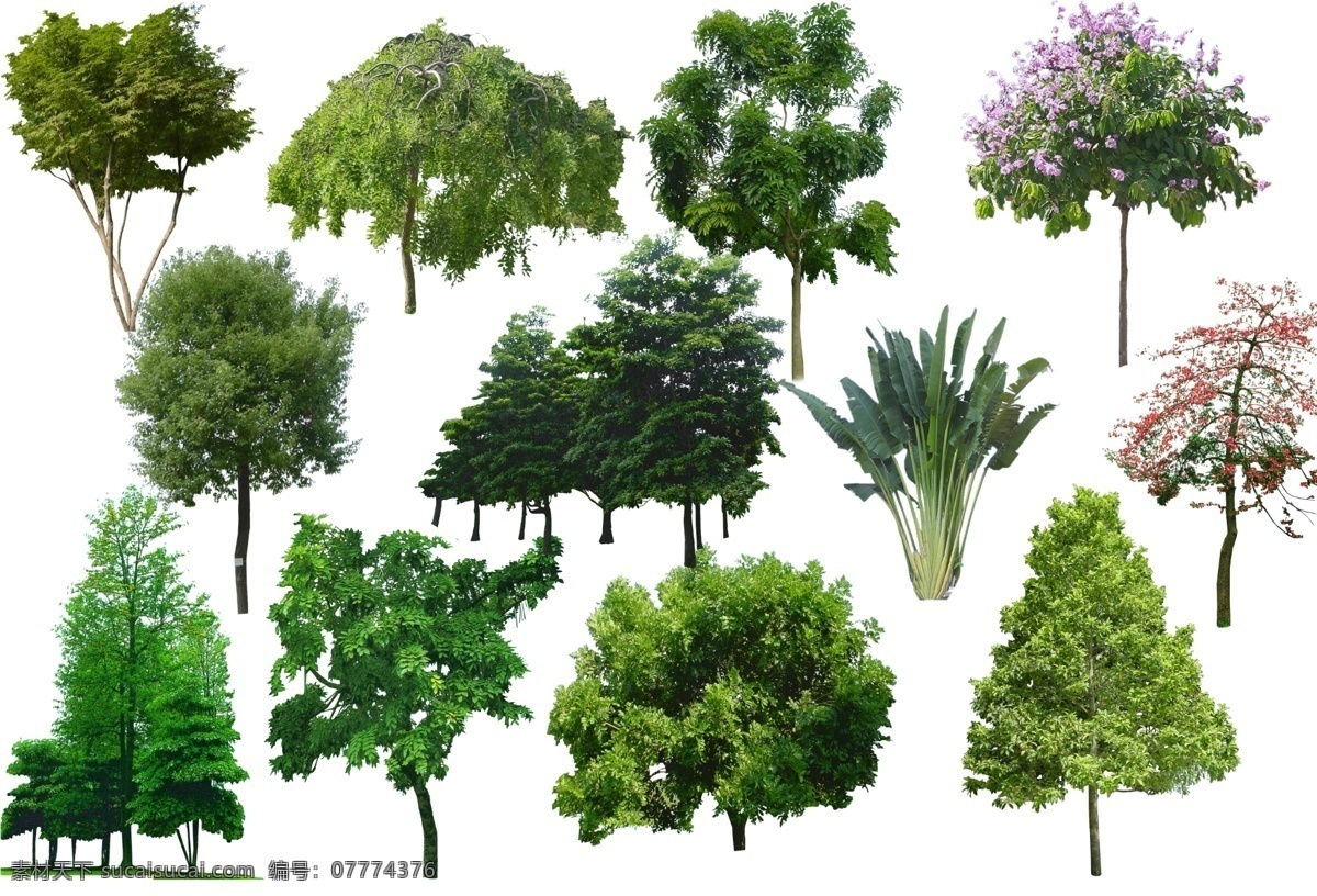 植物 植物psd 植物素材 植物模板 大乔木 小乔木 植物绿化 开花乔木 分层 源文件