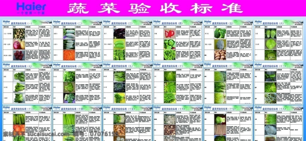 蔬菜验收标准 蔬菜 验收标准 各类蔬菜 蔬菜验收 生活百科 餐饮美食