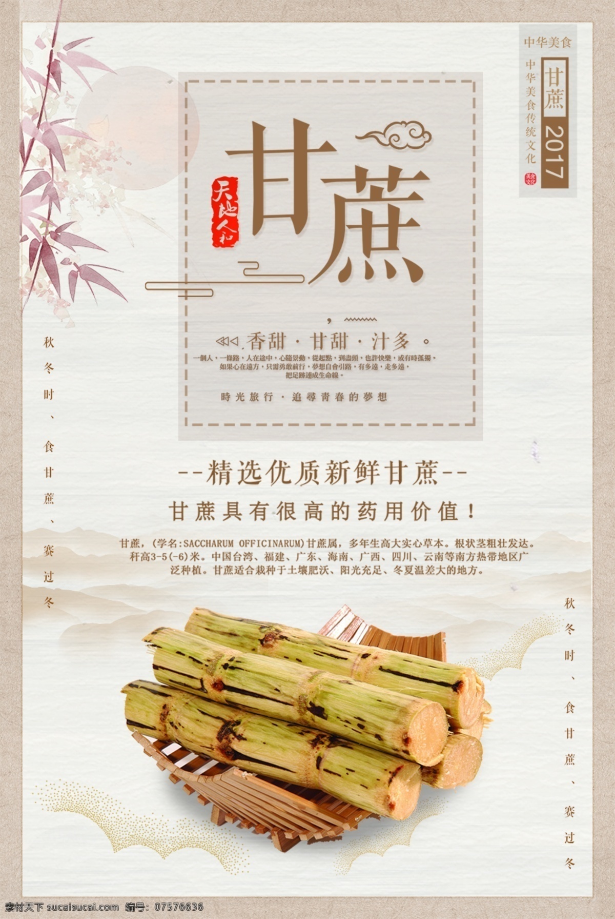 中国 古典 风 养生 甘蔗 美食 植物 黑色 食材 食品 广告 甘蔗海报 甘蔗糖制作 实物 实拍 蔗糖 块 盘装 白色 茎 剥皮的 一节 甘甜 糖 海报 甘蔗林