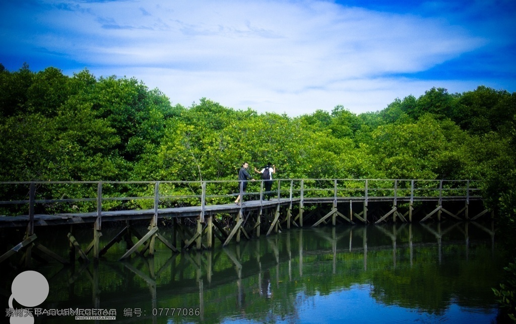 湖景 江景 树林 天空 湖水 自然景观 自然风景