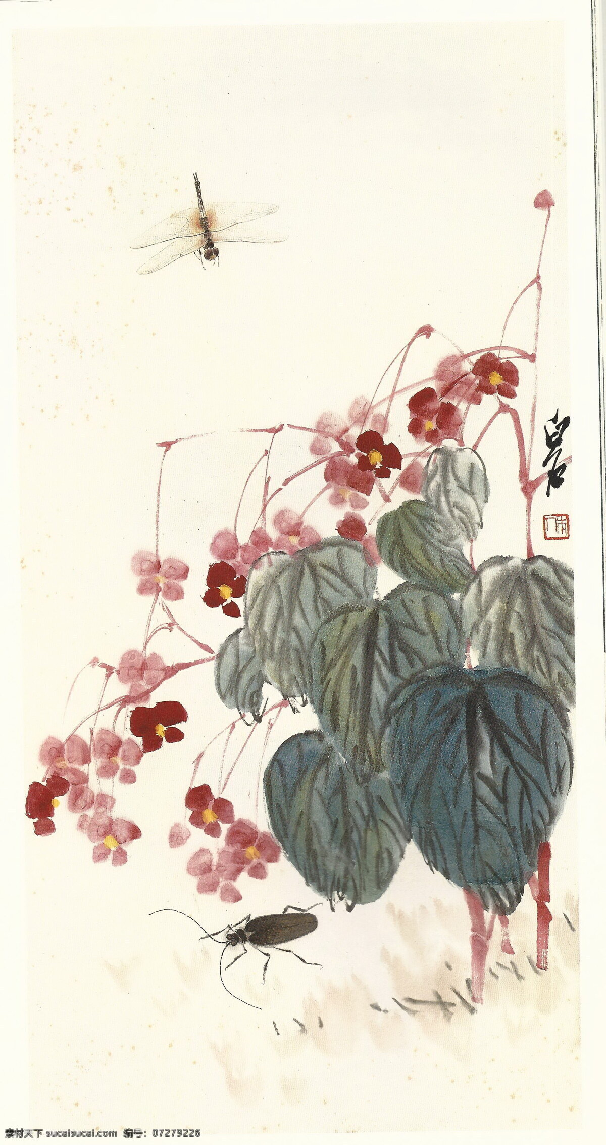 齐白石 书法 绘画 艺术 虫草 秋海棠 静物 文化艺术 绘画书法