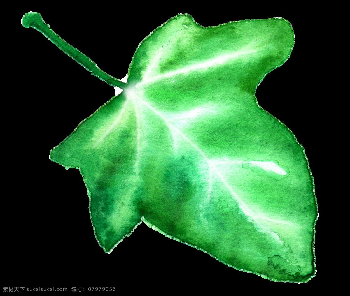 白光 花叶 卡通 透明 绿色 植物 透明素材 免扣素材 装饰图案