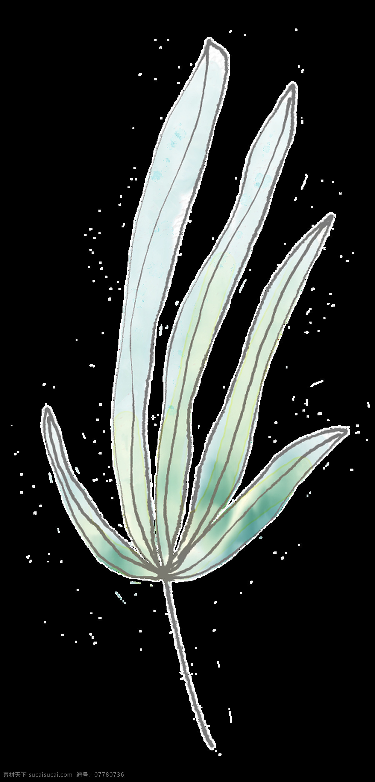 泛 白海 草 卡通 透明 柳叶 绿色 透明素材 免扣素材 装饰图案