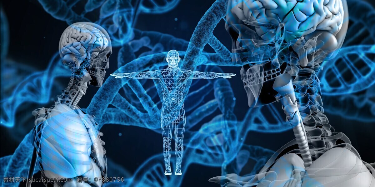 dna科学 dna 螺旋 曲线 科学 医药 生物学 医疗 分子 技术 研究 化学 结构 生物技术 基因 遗传 细胞 染色体 演化 3d 钢绞线 微生物学 人类 生物 模型 镜 给予 蓝色 摄影图片 现代科技 科学研究