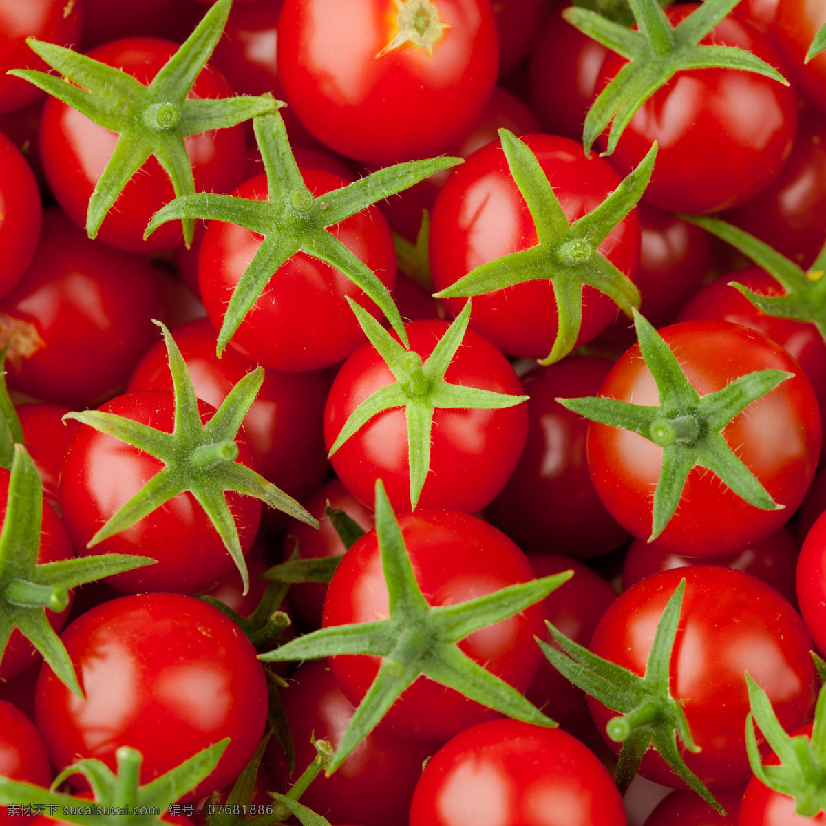 新鲜蕃茄 蕃茄 西红柿 新鲜蔬菜 蔬菜背景 水果蔬菜 餐饮美食 红色