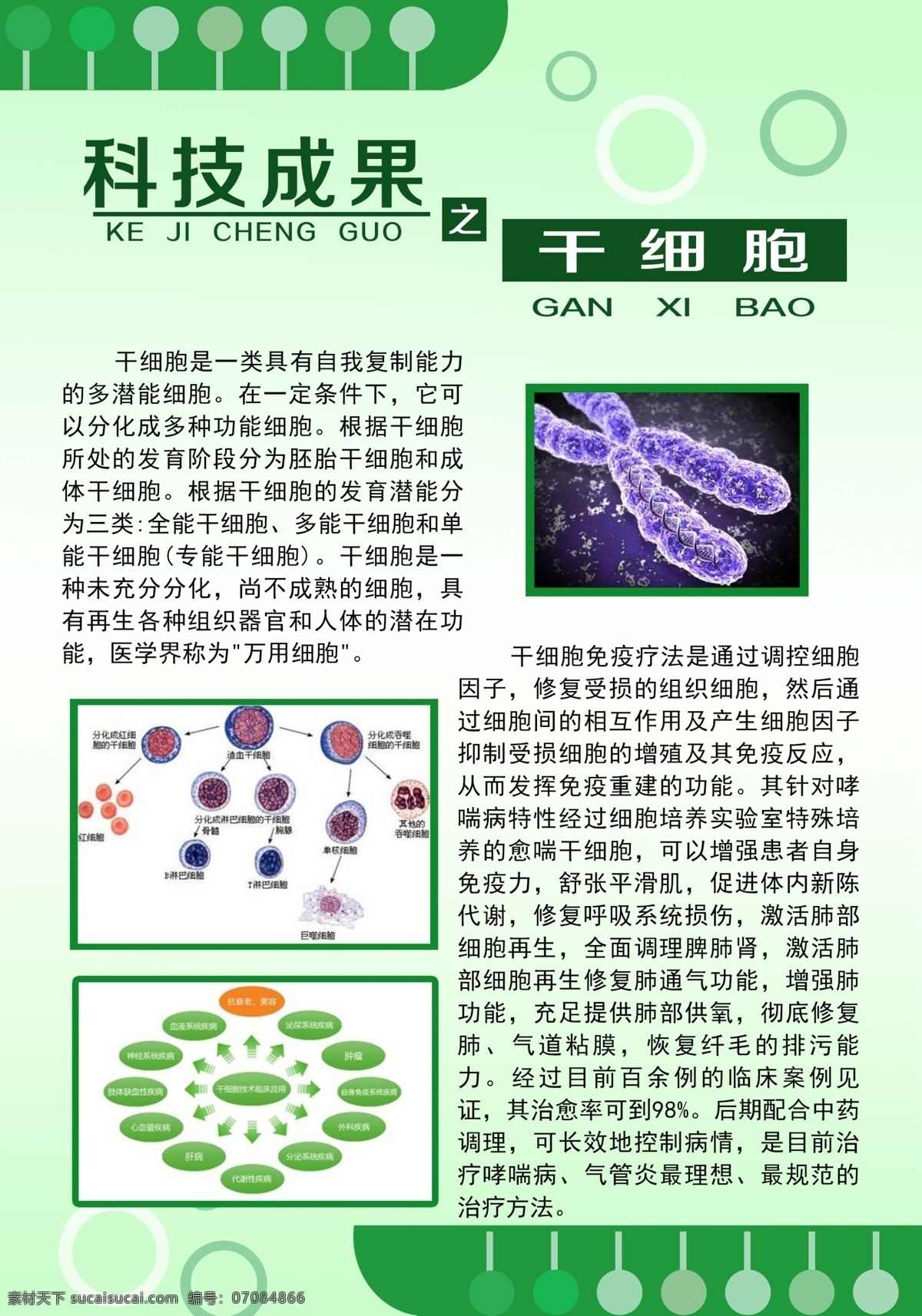 干细胞海报 科技成果 生物 干细胞