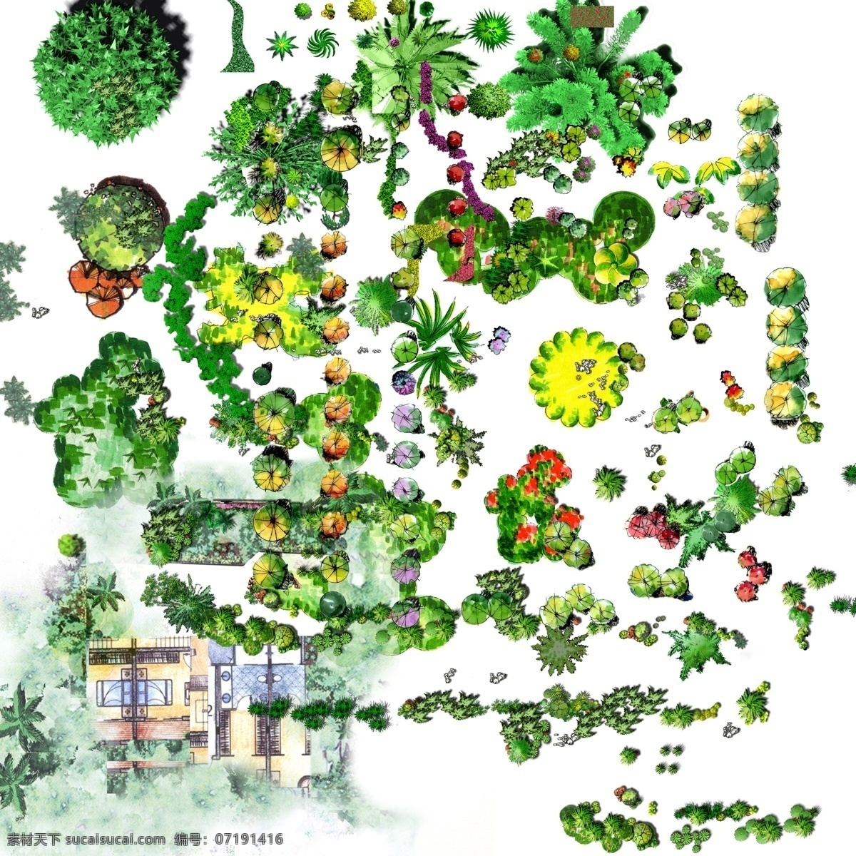 手绘 平面 植物 景观 综合 环境设计 效果图