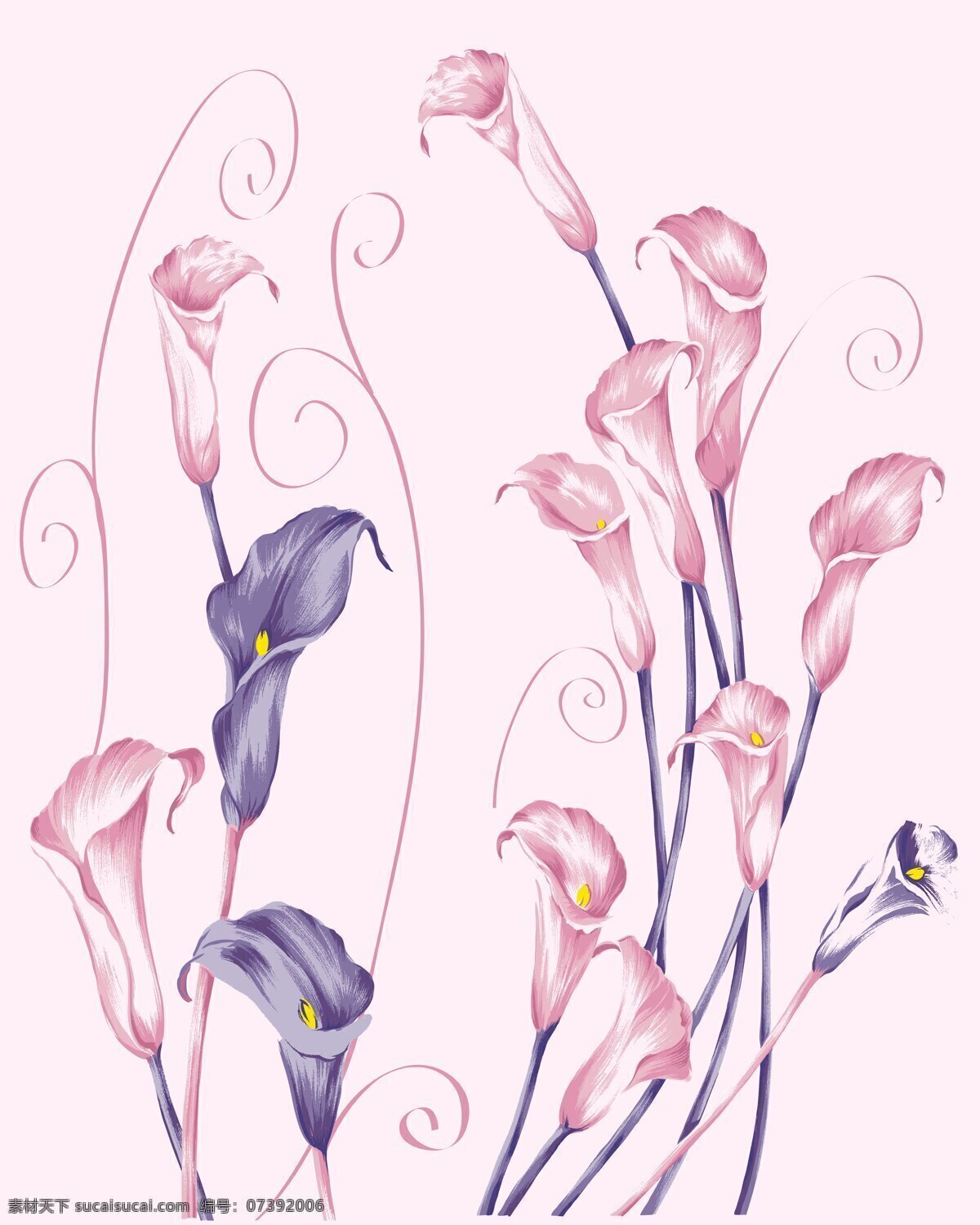 百合 郁金香 花朵 粉色 紫色 线条 花纹 平开门 自然景观