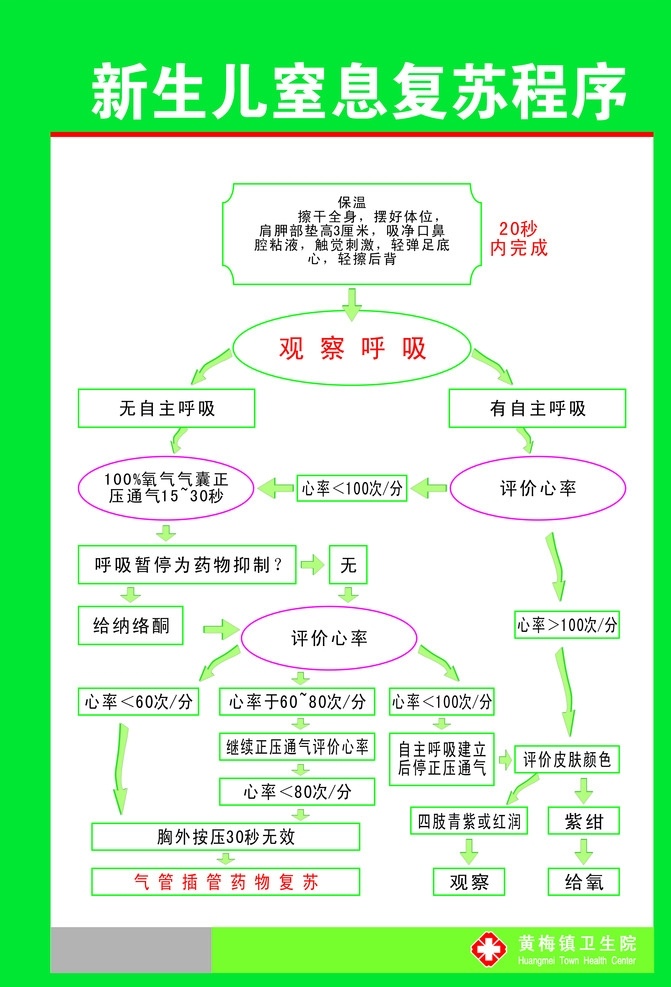 新生儿 窒息 复苏 程序 医院 抢救 窒息复苏程序 底色 表格 操作步骤