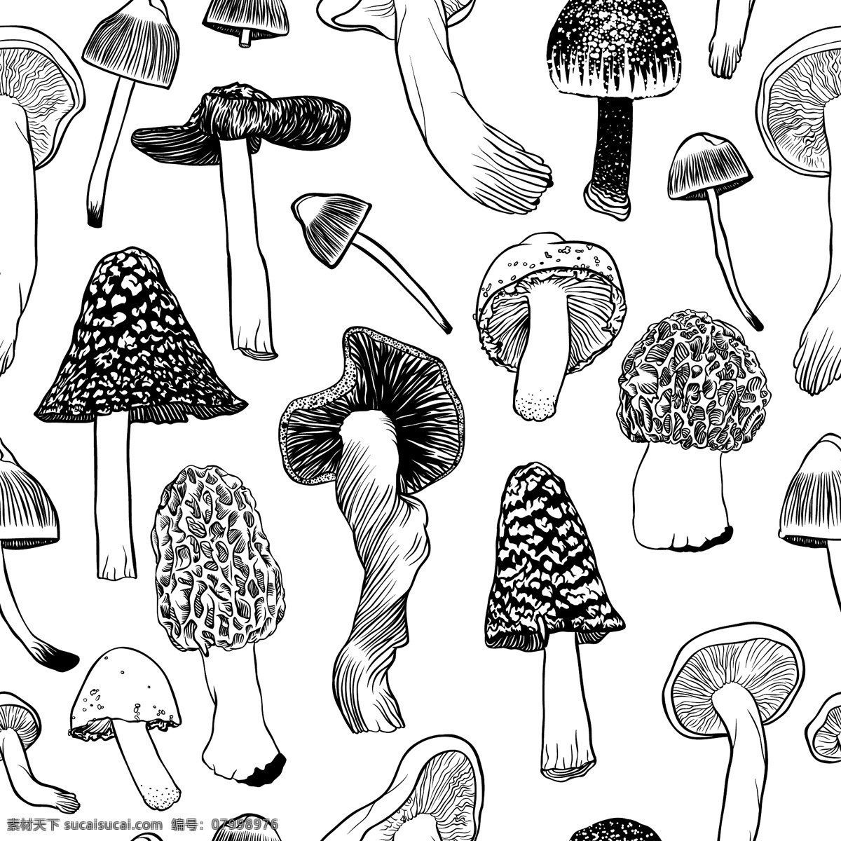 黑白 手绘 蘑菇 矢量 模板下载 线稿 蘑菇设计 矢量蘑菇 卡通蘑菇 餐饮美食 生活百科 矢量素材 白色