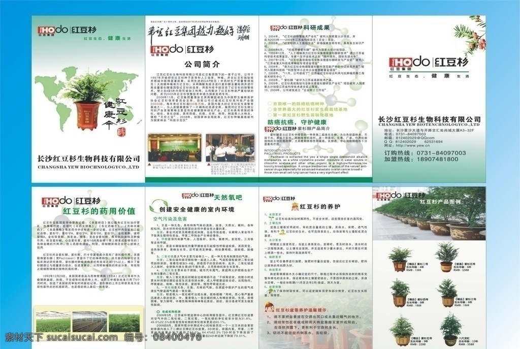 红豆杉折业 折页设计 红豆杉 折 业 折业 红豆杉标志 其他设计 矢量图库 dm宣传单 矢量