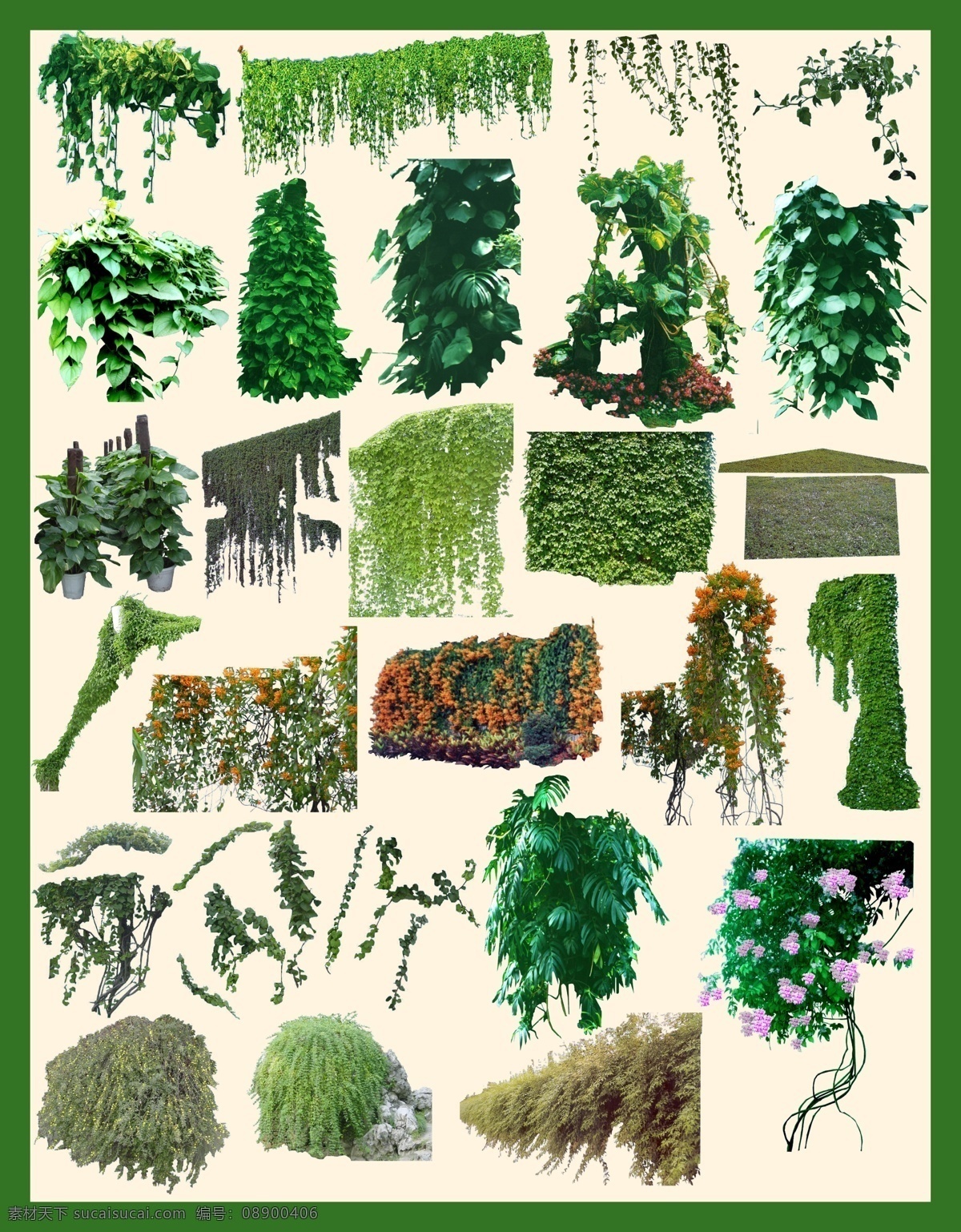 草 绿色 植物 各种花藤 花 花卉 手绘花朵素材 矢量花朵 矢量素材 各种花朵 花藤 叶子 花朵素材 装饰花朵 手绘花朵 矢量 花草 鲜花 花朵 梦幻花朵 唯美 鲜花素材 鲜花花朵 春季花朵素材 春季素材 春天素材 春天 春季 丝带花朵 绿丝带 绿色环保 分层