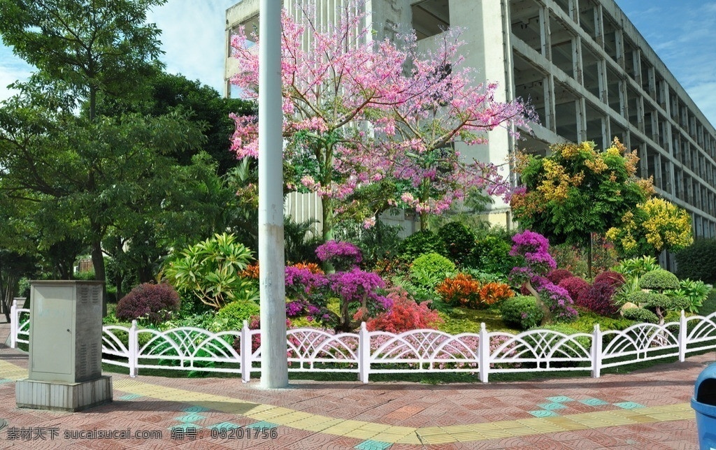 街头绿地 植物 景观 园林 配置 美人树 栏杆 园林设计 环境设计 源文件