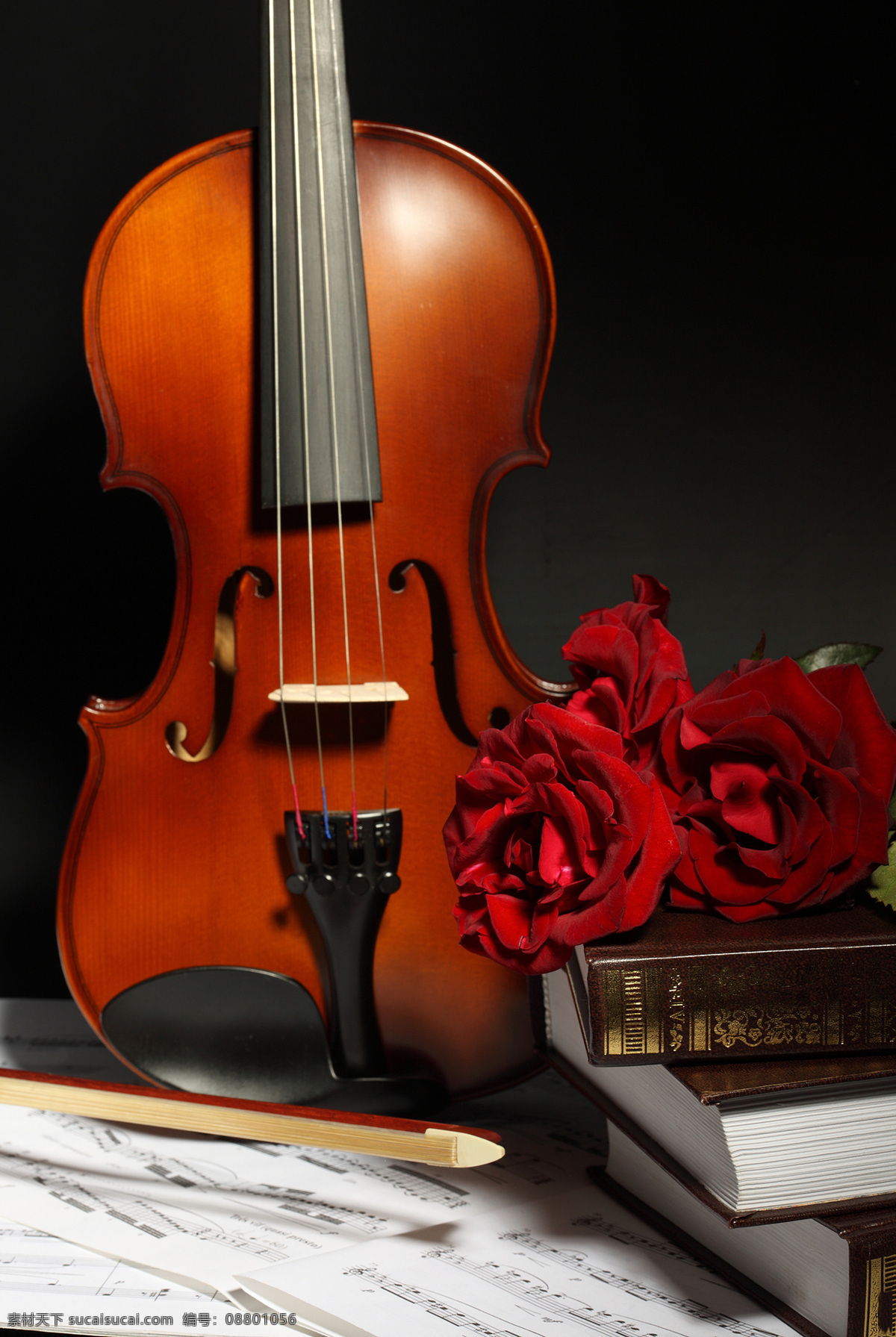 书本 小提琴 花朵 玫瑰花 花朵花卉 美丽花朵 鲜花乐谱 五线音谱 音乐 影音娱乐 生活百科