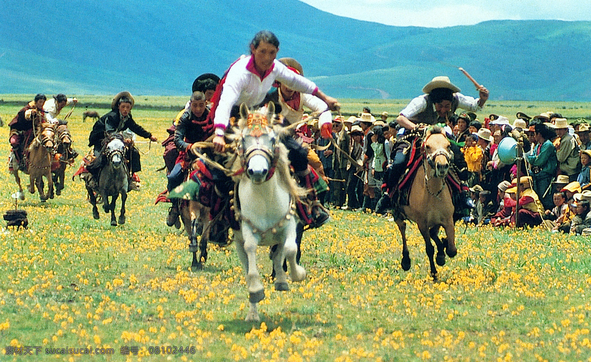 金宝设计 赛马免费下载 草原 草原背景 草原风光 草原风景 草原风景图 草原雄鹰 赛马 理塘的赛马会 赛马会 草原赛马