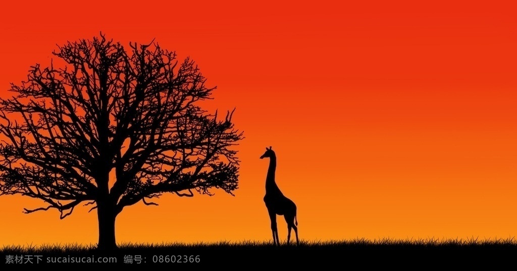 黄昏 树木 长颈鹿 剪影 黄昏剪影 长颈鹿剪影 长劲鹿 树木剪影 云彩 彩云 彩霞 霞光 晚霞 天空 日落 落日 唯美黄昏 唯美风景 自然风光 风景图 自然景观 自然风景